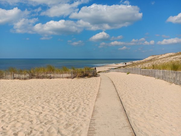 Les spécialités de Vendée